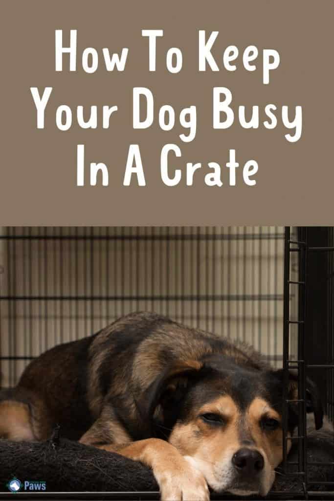 How To Keep Your Dog Busy In A Crate - Pinterest Pin