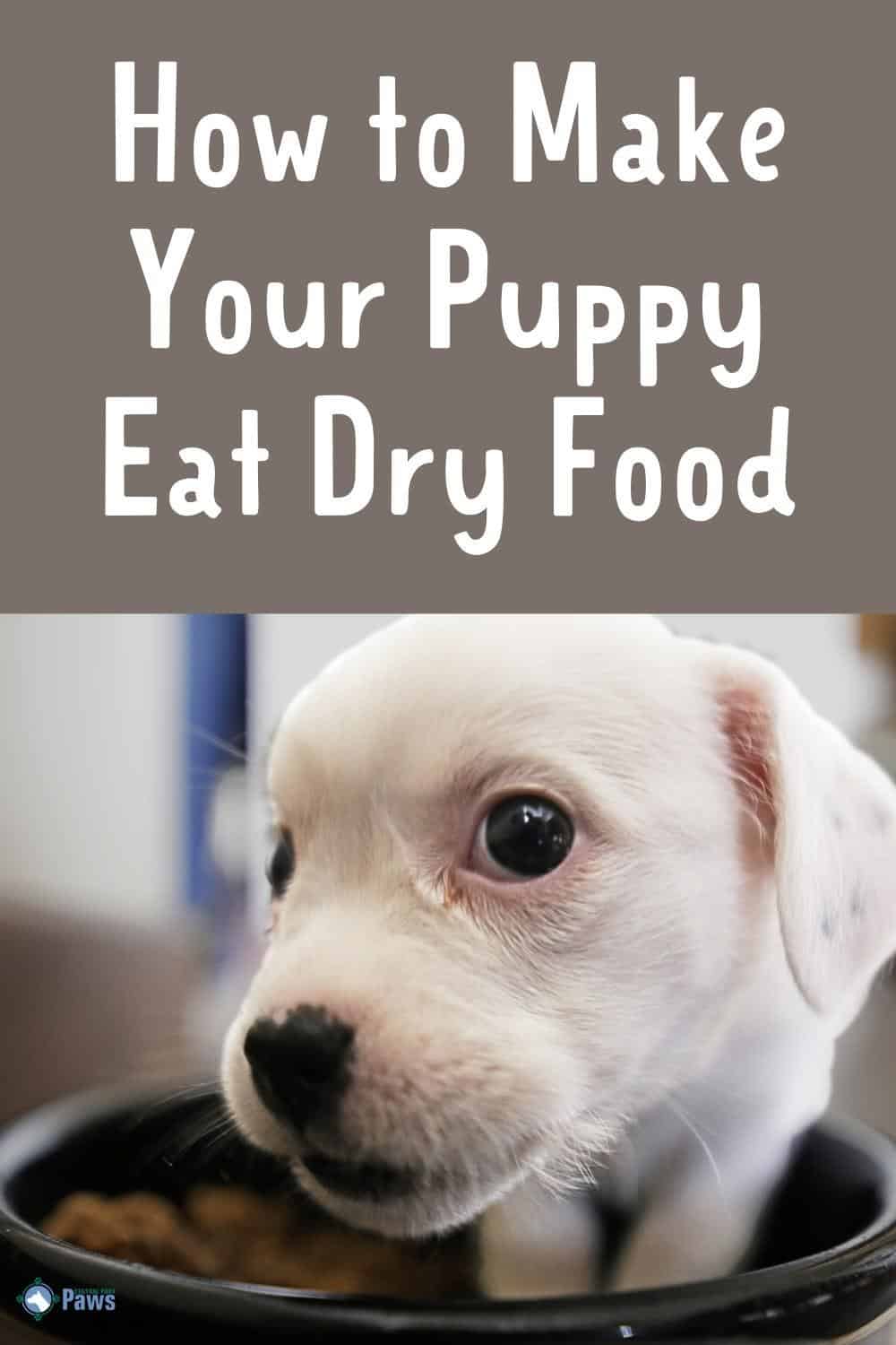 How To Make Your Puppy Eat Dry Food (Every Last Bit!)