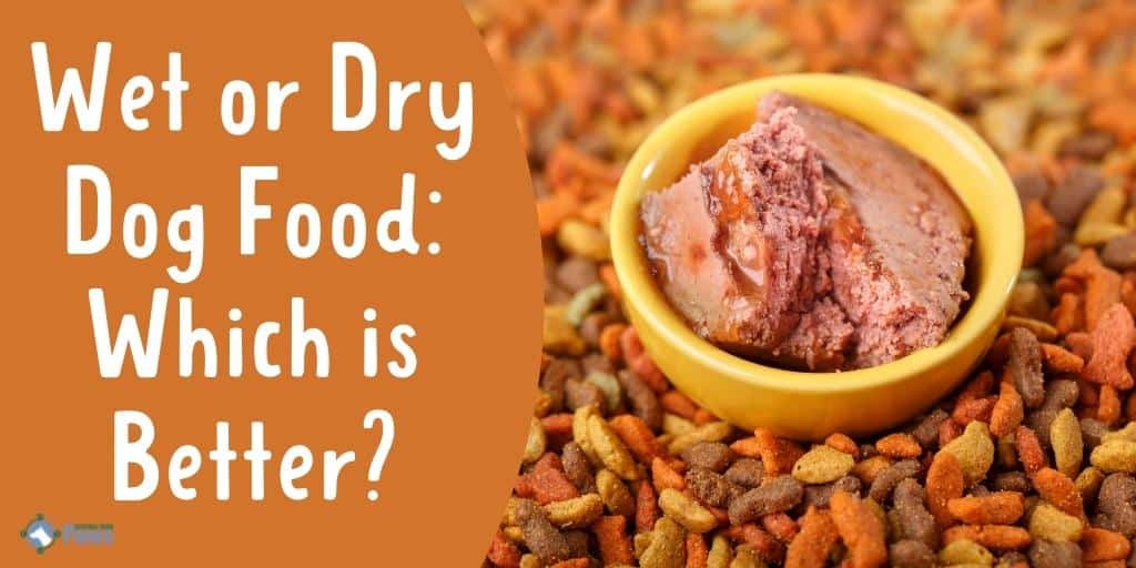 Wet or Dry Dog Food Which is Better