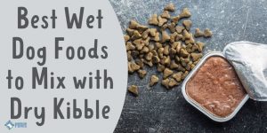 Best Wet Dog Foods to Mix with Dry Kibble