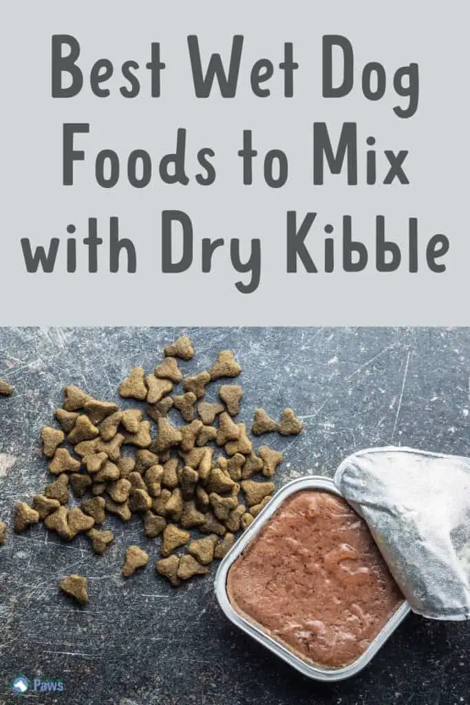 Best Wet Dog Foods to Mix with Dry Kibble - Pinterest Pin