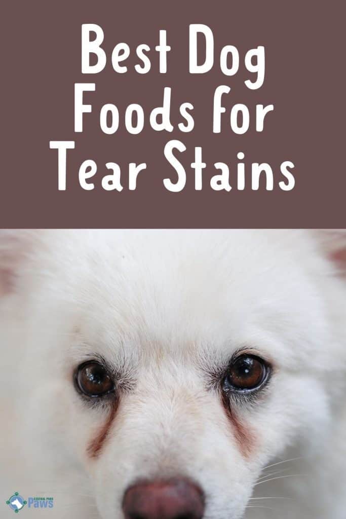 The Best Dog Foods for Tear Stains - Pinterest Pin