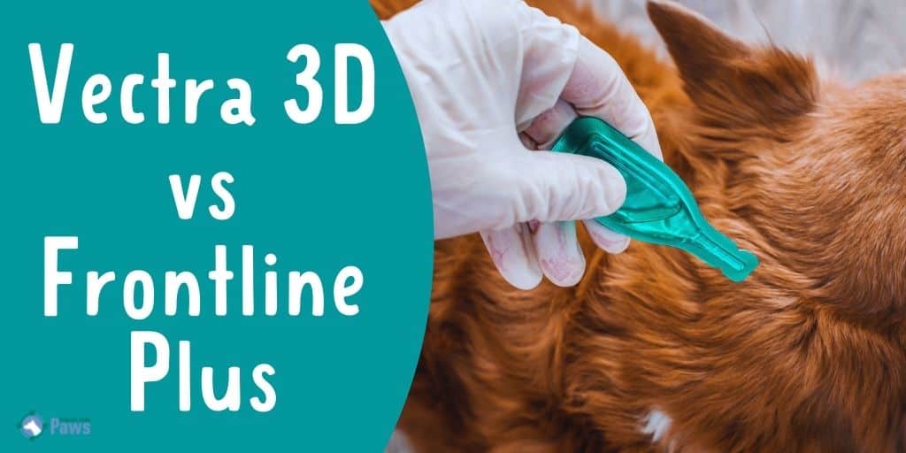 Vectra 3D vs Frontline Plus Flea Treatment for Dogs