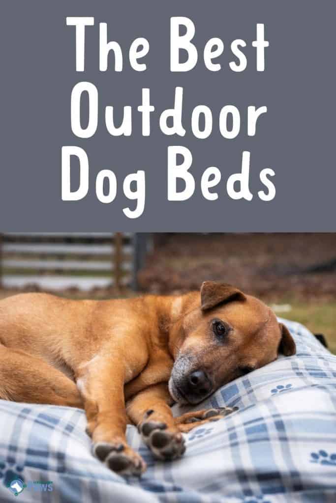 Best Outdoor Dog Beds for Outside Dogs - Pinterest Pin