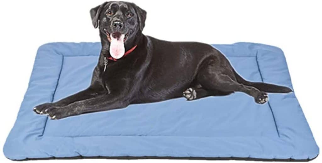 CHEERHUNTING outdoor dog bed travel pet mat water resistant