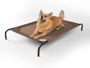 Coolaroo original cooling elevated dog bed outdoor use inexpensive