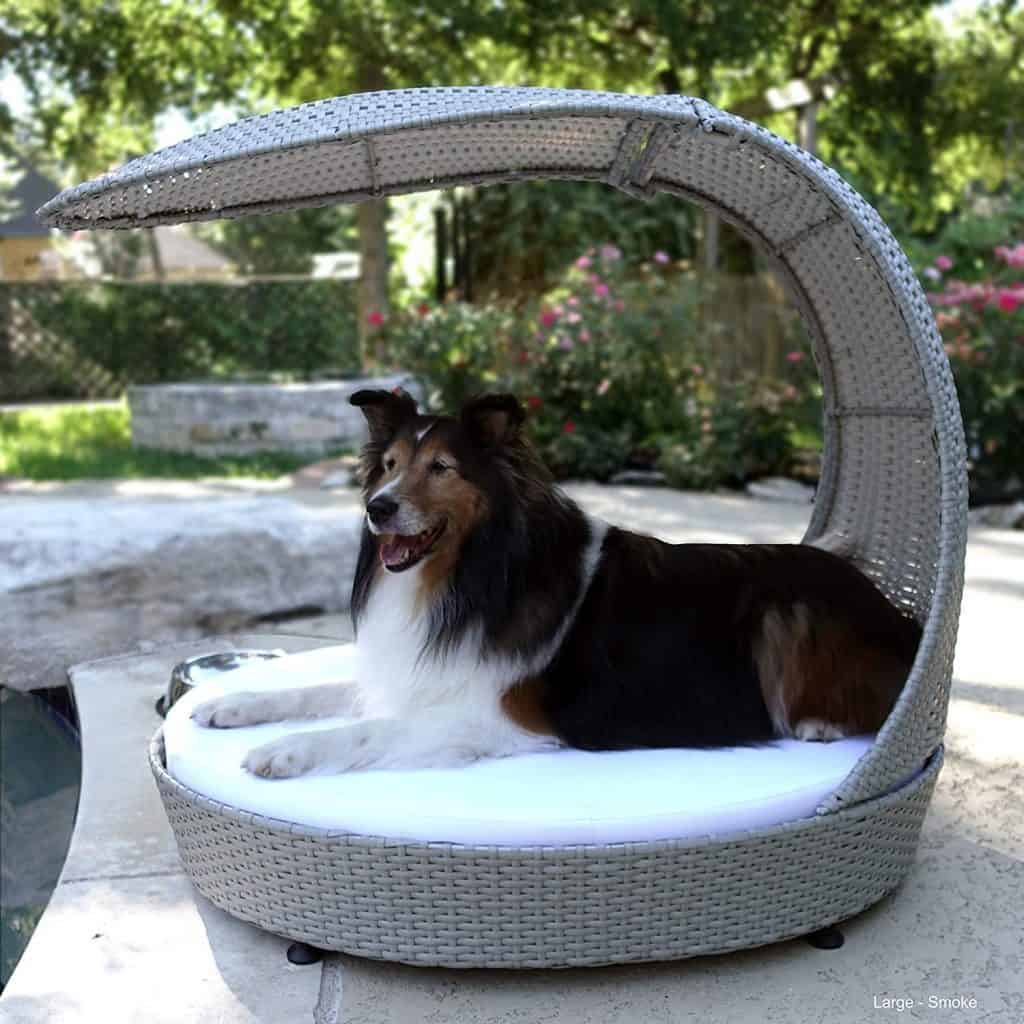 The Refined Canine outdoor dog chaise bed rattan shade hood