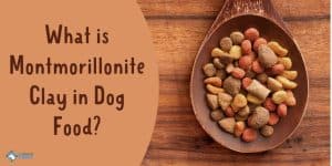 What is Montmorillonite Clay in Dog Food - Is it healthy
