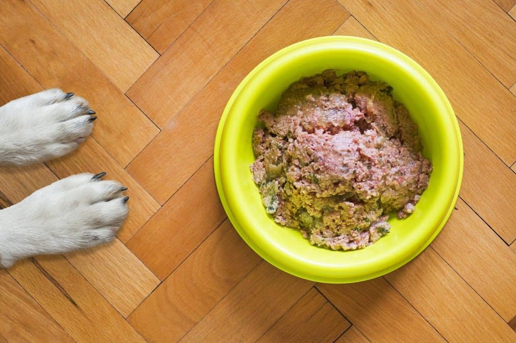 What is crude protein in dog food why is it good