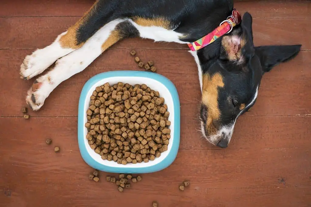 Can too much crude protein in dog food be unhealthy