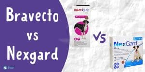 Bravecto Vs Nexgard Flea Treatment for Dogs