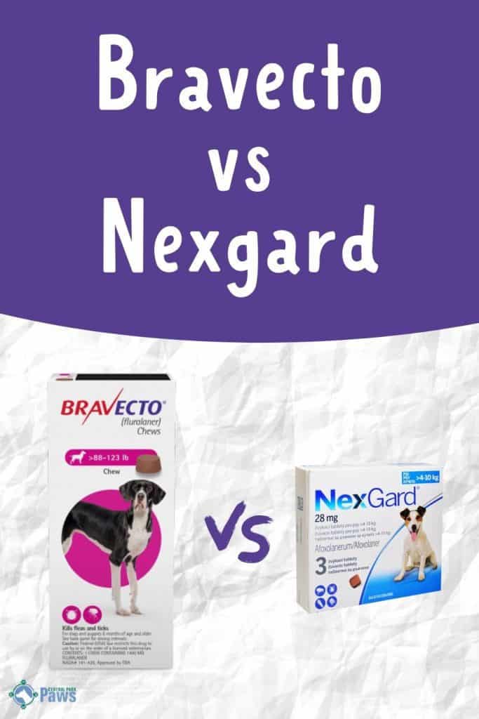 Bravecto Vs Nexgard Flea Treatment for Dogs - Pinterest Pin