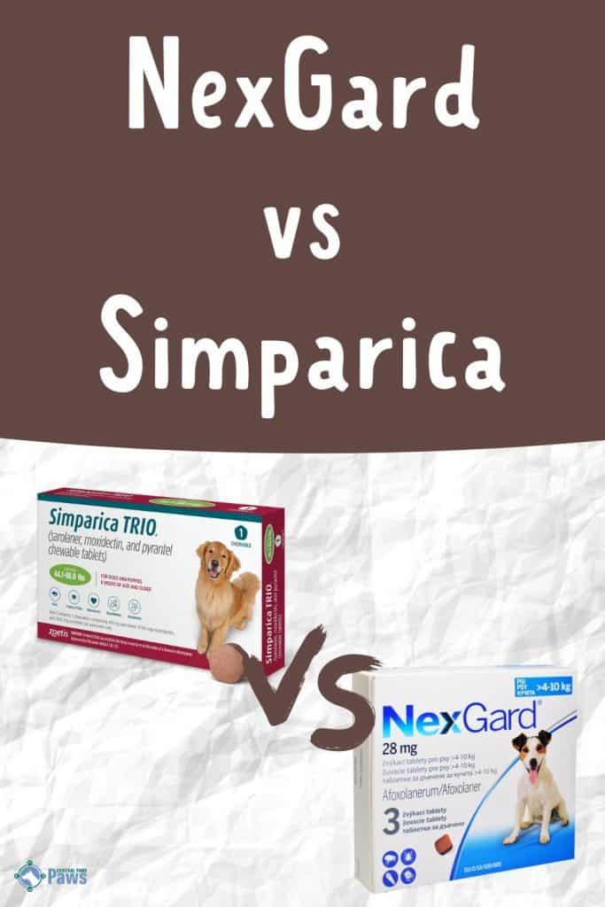 NexGard vs Simparica A Complete Comparison - Pinterest Pin