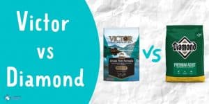 Victor Dog Food Vs Diamond