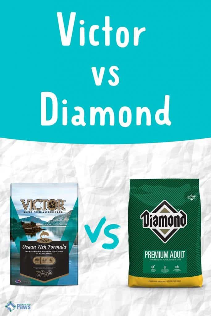 Victor Dog Food Vs Diamond - Pinterest Pin