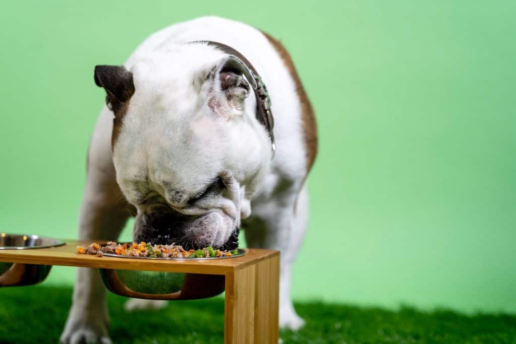 Why is guar gum in Dog Food?