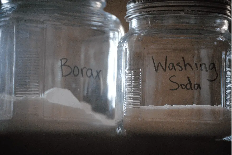 Does Borax Kill Fleas on Dogs?