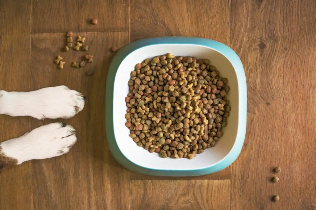 Crude ash in dog food bowl