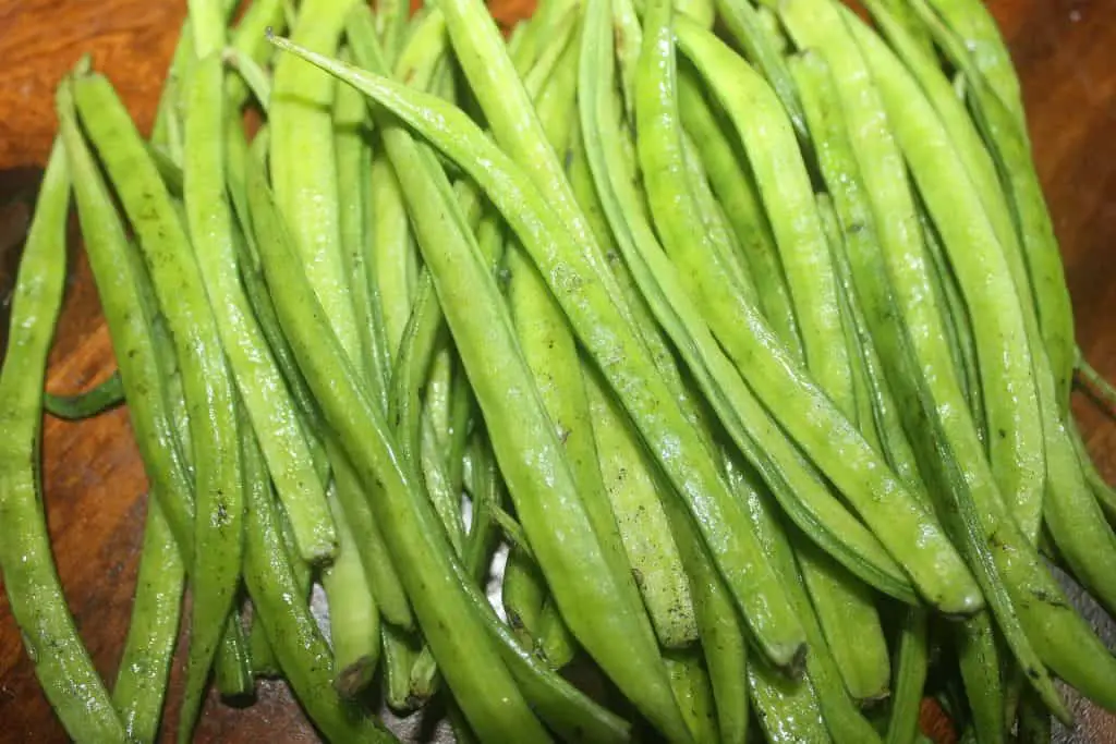 Guar gum comes from legumes