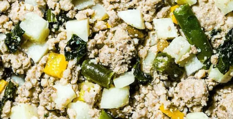 NomNomNom homemade food style great alternative to Hill's Prescription Diet