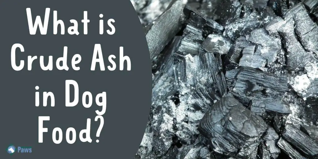 What is Crude Ash in Dog Food - Is it Safe