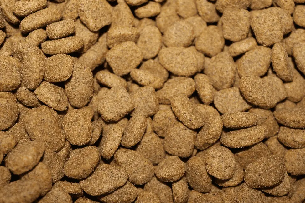 What is dl methionine in dog food essential amino acid isomer