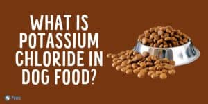 What is Potassium Chloride in Dog Food?