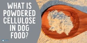 What is Powdered Cellulose in Dog Food Is it Bad or Safe for Dogs