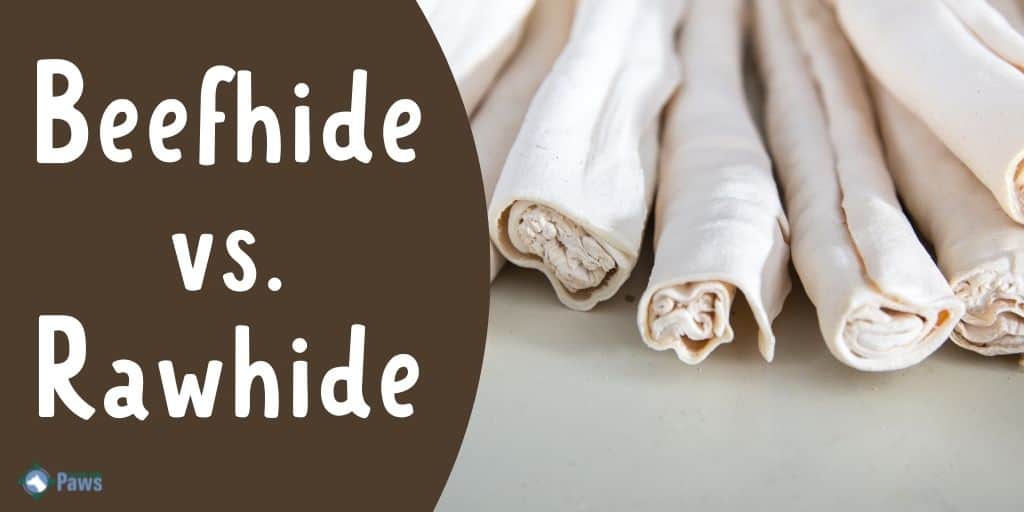 Beefhide vs. Rawhide Which is Best for Your Dog