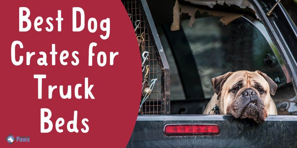 Best Dog Crates for Truck Beds