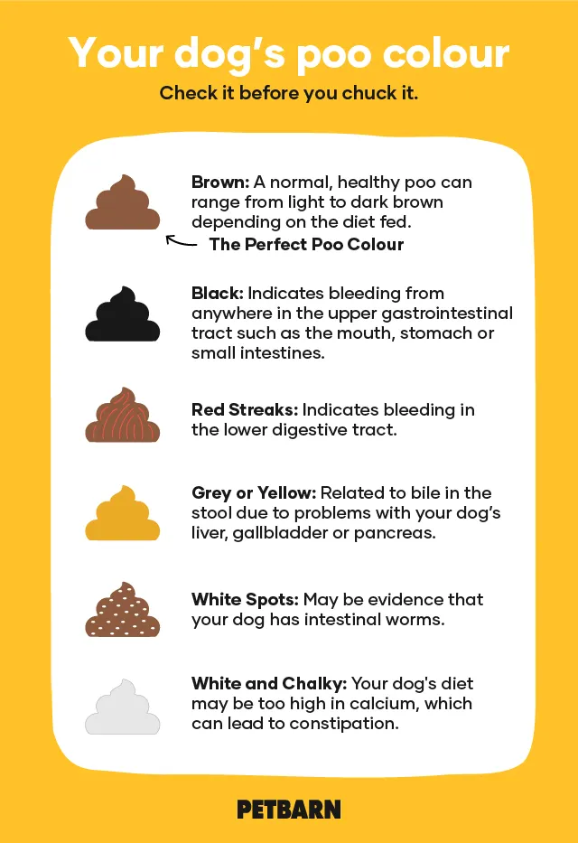 Dog Poop Color Chart