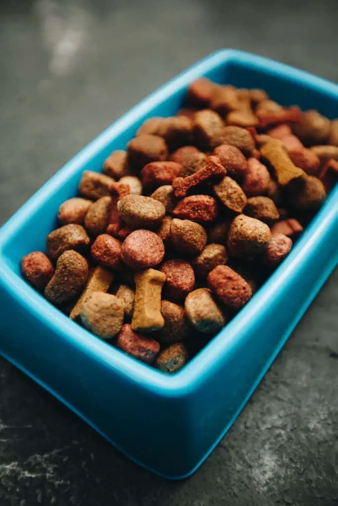 Dog food with mixed tocopherols (vitamin E)